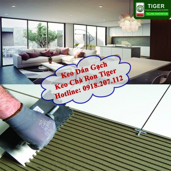 KHÁCH HÀNG CỦA TIGER ĐÃ THỬ - BẠN ĐÃ THỬ CHƯA