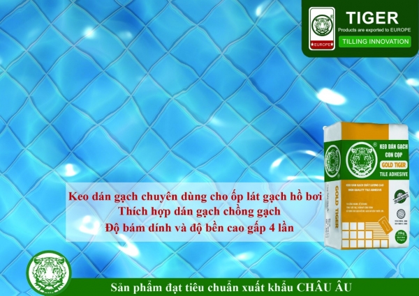 GIẢI PHÁP ỐP LÁT GẠCH HỒ BƠI